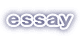 essay